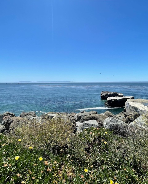 Leaked lacichey header onlyfans leaked