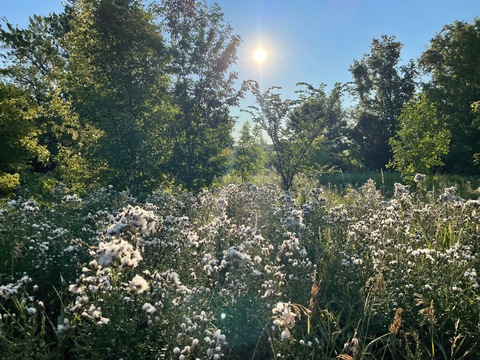 Leaked lanihoney header onlyfans leaked