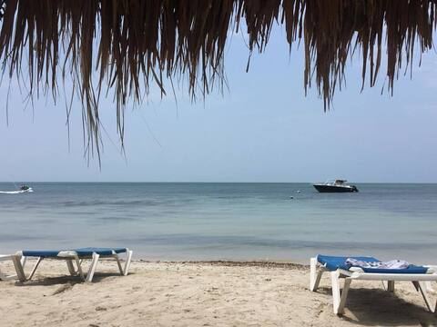 Leaked latinvideoproducer header onlyfans leaked