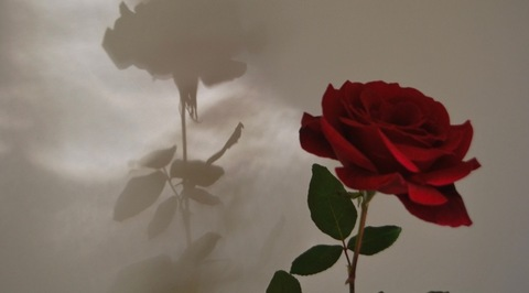 Leaked laylala123 header onlyfans leaked