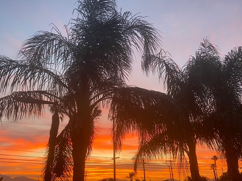 Leaked leathernlace88 header onlyfans leaked