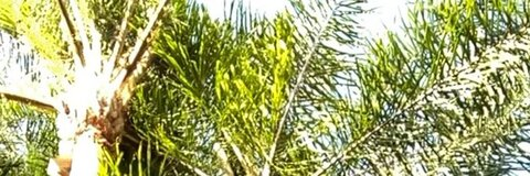 Leaked leftyfairy header onlyfans leaked