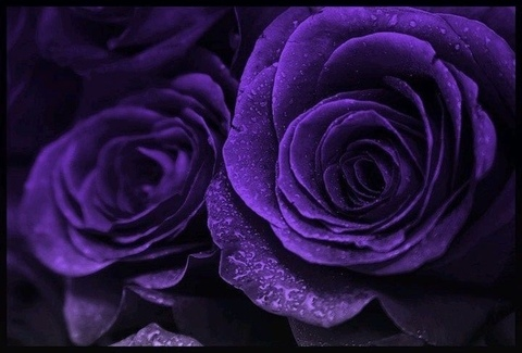 Leaked letsmakelove header onlyfans leaked