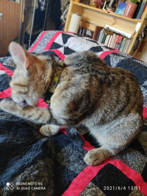 Leaked lextaff header onlyfans leaked