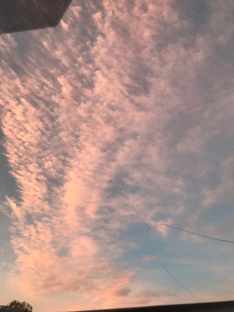 Leaked lilangelbby header onlyfans leaked