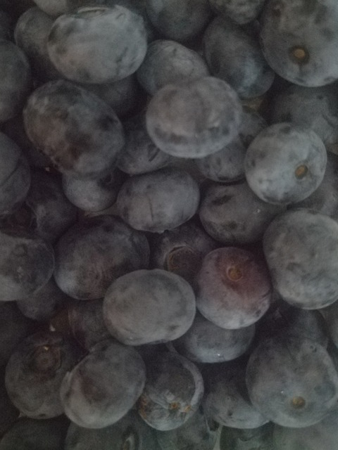 Header of lilfeetwitch