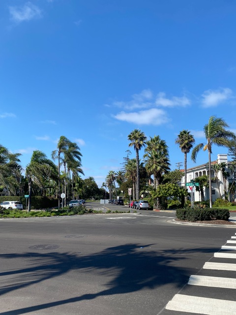 Leaked lilweeezy header onlyfans leaked