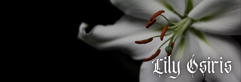 Leaked lilyosiris header onlyfans leaked