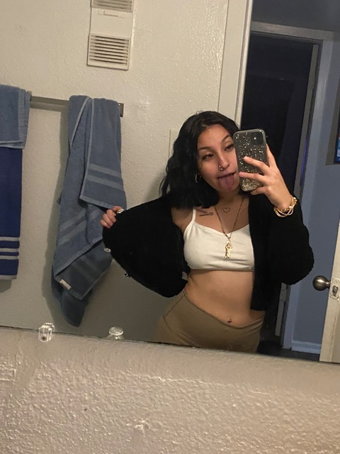 Header of lilysvault