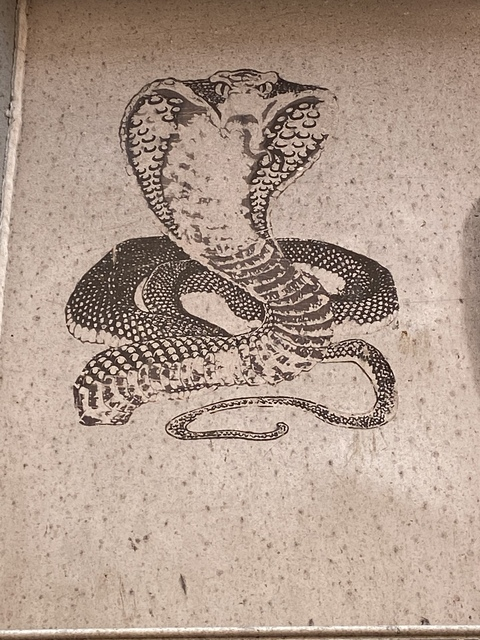 Leaked littlemisssquid header onlyfans leaked