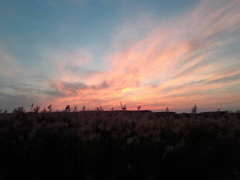 Leaked lizzy_waterfall header onlyfans leaked