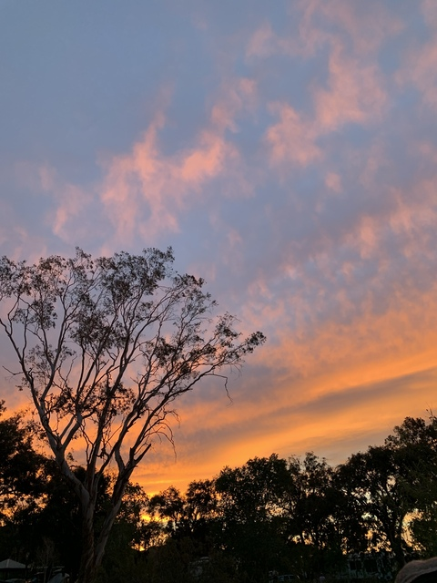 Leaked lizzybaby444 header onlyfans leaked