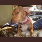 Chewie (lntchewie) Leaks OnlyFans 

 profile picture