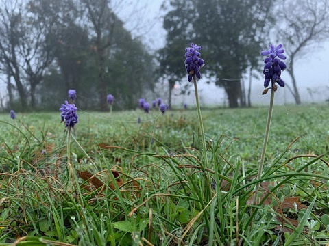 Leaked lo-paloma header onlyfans leaked