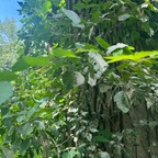 Leaked lolaaanizzyyy onlyfans leaked