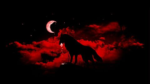 Header of lonewolfhottie