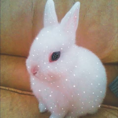 Leaked love3ly header onlyfans leaked