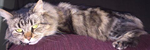 Leaked lovelysmokez header onlyfans leaked