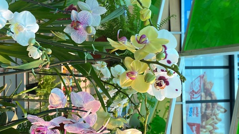 Leaked loveratho header onlyfans leaked