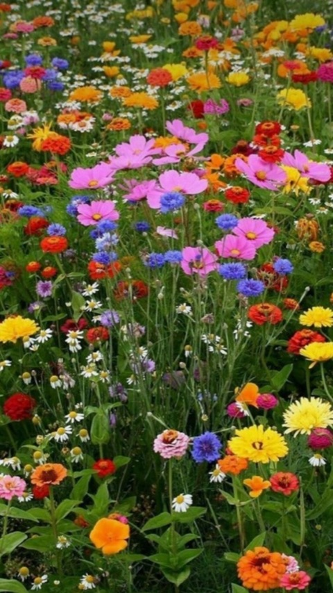 Leaked lunalovesgood24 header onlyfans leaked