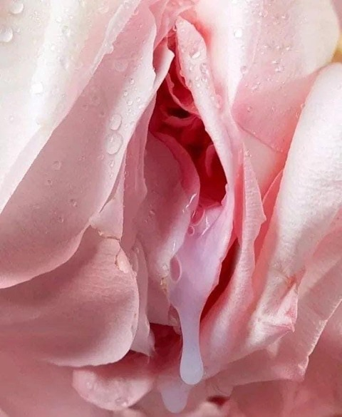 Leaked luvscarlett header onlyfans leaked