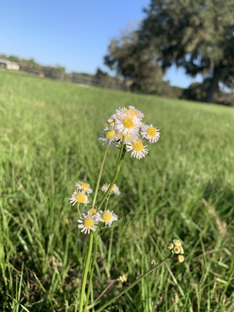 Leaked lynndromex header onlyfans leaked