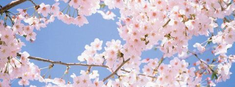 Leaked maddiemilfjugs header onlyfans leaked