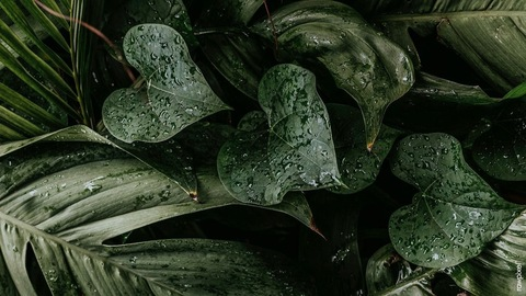 Leaked madi.z header onlyfans leaked