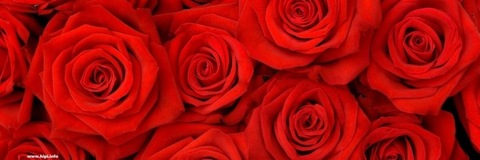 Leaked madisonberkleyy header onlyfans leaked