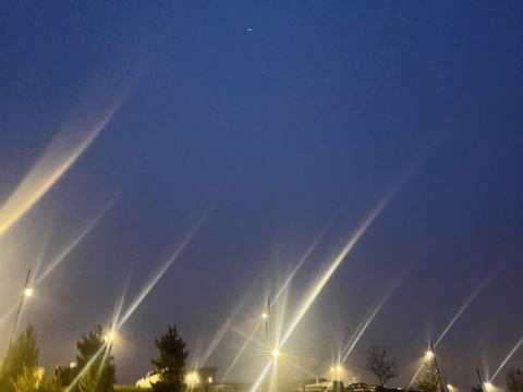 Leaked madsbby19 header onlyfans leaked