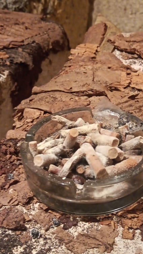 Leaked marcvs.trxsh header onlyfans leaked