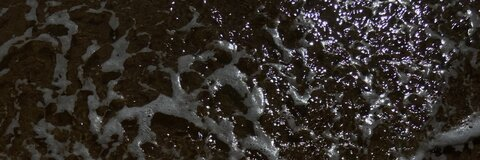 Leaked marijuanabunny header onlyfans leaked