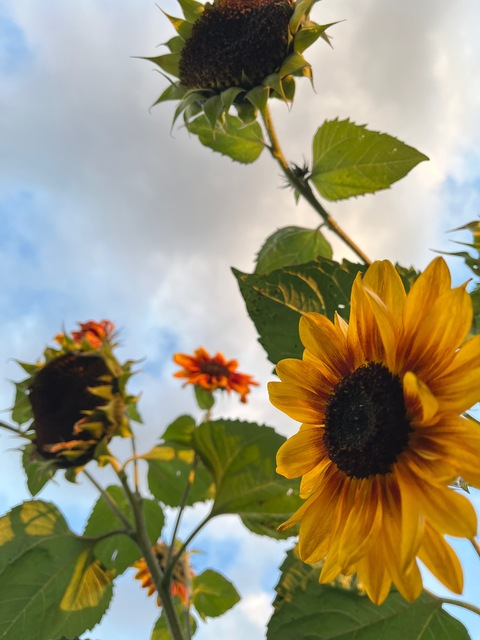 Leaked martyna.opoka header onlyfans leaked