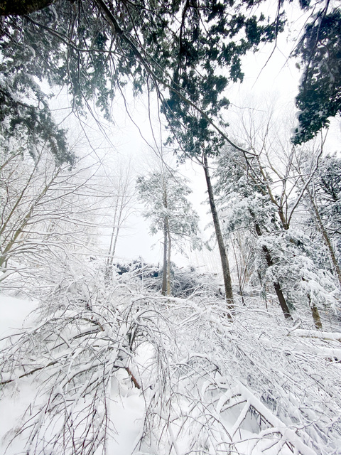 Leaked masonwoods420 header onlyfans leaked