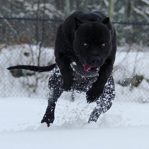 Leaked mateusxxx header onlyfans leaked