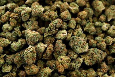 Leaked melanatedpothead header onlyfans leaked