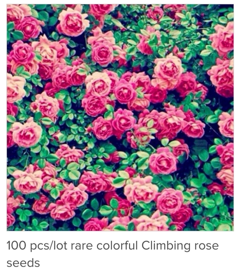 Leaked melodylanexxx header onlyfans leaked