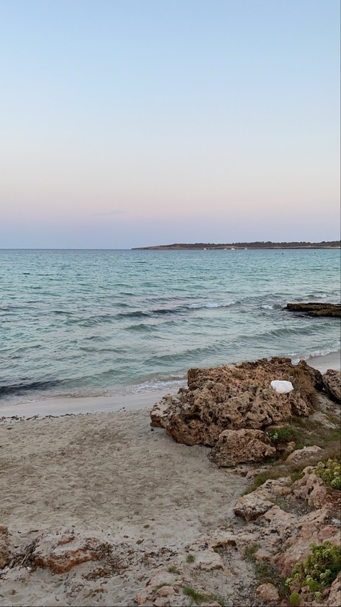 Leaked michaelforresternl header onlyfans leaked