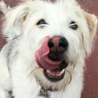 Free access to mikabbsita Leaks OnlyFans 

 profile picture