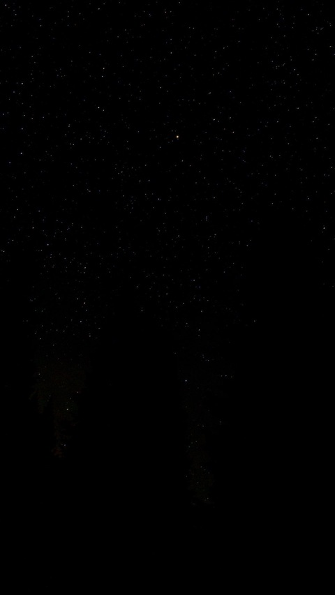 Leaked mikasask header onlyfans leaked