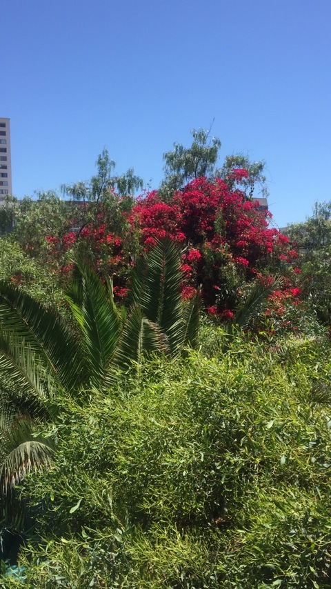 Leaked mimimiauu header onlyfans leaked