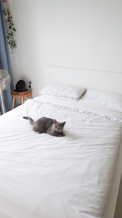 Leaked mimirello header onlyfans leaked