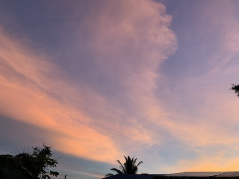 Leaked minjiyaa01 header onlyfans leaked