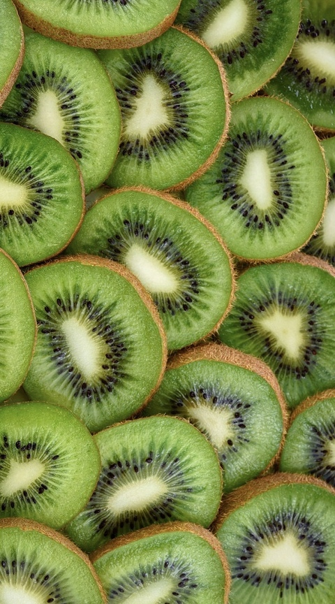 Leaked miss_stevie_ious header onlyfans leaked