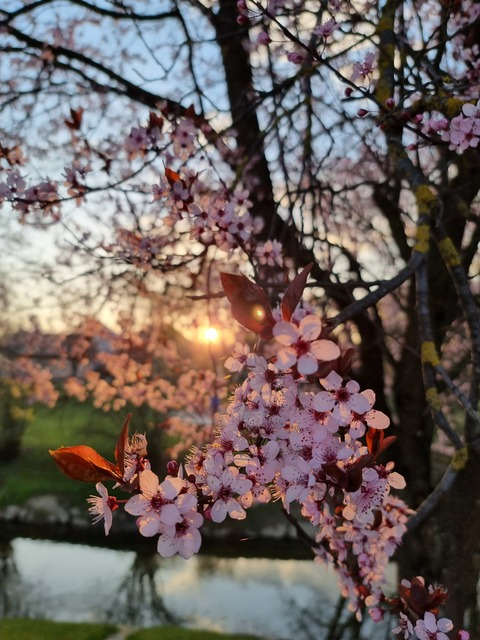 Leaked missalisandrafree header onlyfans leaked