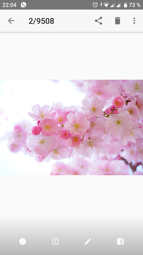 Leaked missappleeee header onlyfans leaked