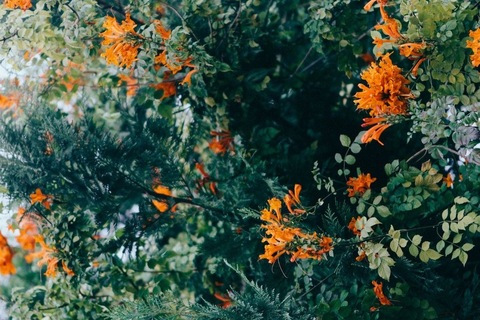 Leaked missbunny96 header onlyfans leaked