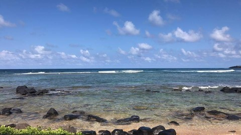 Leaked misstrippie header onlyfans leaked