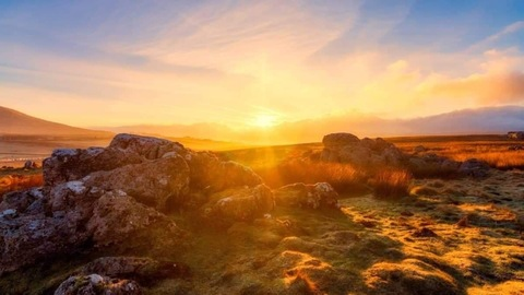 Leaked miyamia37 header onlyfans leaked