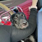 mkaufmann (Mk) OnlyFans Leaked Pictures and Videos 

 profile picture